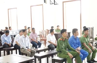 Cần Thơ: Tòa tuyên án 7 cán bộ trong vụ vi phạm về bồi thường ở Long Mỹ