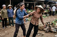 Vụ án chị bán vịt bồi thường cho bà nuôi vịt ở Vĩnh Long