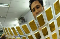 Gần 10.000 doanh nghiệp kinh doanh vàng miếng đóng cửa