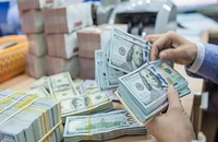 Bất động sản hút dòng tiền kiều hối