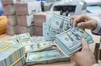Giá USD thị trường tự do tăng giảm chóng mặt