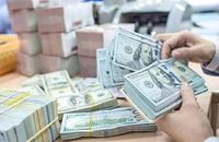 Giá đôla chợ đen lập kỷ lục mới