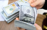 Tỉ giá USD/VND năm nay sẽ biến động ra sao?