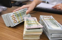 Kiều hối đổ về TP.HCM liên tục tăng mạnh