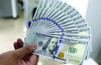 Áp lực tỉ giá USD/VND đã giảm