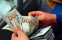 Nhiều công ty lỗ vì giá USD biến động