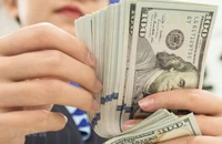 Giá USD chưa hết nóng, lo ngại xu hướng găm ngoại tệ