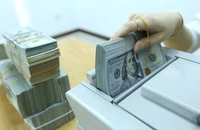 Giá đôla Mỹ 'chợ đen' rơi chóng mặt, bay khoảng 500 đồng