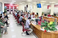 Doanh nghiệp thủy sản được vay lãi suất thấp