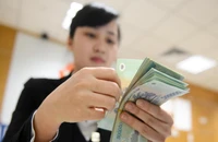 Ngân hàng muốn đẩy mạnh cho vay tín dụng xanh nhưng....
