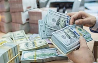 Giá USD chợ đen bất ngờ đảo chiều