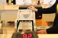 Ngân hàng Nhà nước giao chỉ tiêu tăng trưởng tín dụng năm 2024