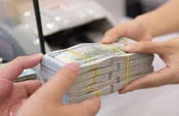 Kiều hối TP.HCM 2025 vượt 10 tỉ USD, tỉ giá USD hạ nhiệt
