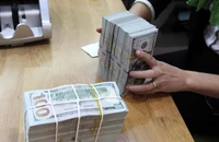 Đâu là điểm tựa giúp ổn định tỉ giá USD/VND?