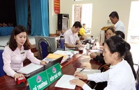 TP.HCM: Tín dụng chính sách tăng trưởng cao nhất 5 năm 