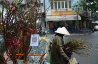 Vì sao ATM ngày càng ế ẩm?