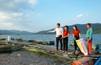 Tăng gấp đôi quy mô gói tín dụng ưu đãi cho ngành lâm thuỷ sản