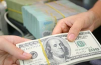 Giá đôla Mỹ trên chợ đen bất ngờ 'rơi' hơn 300 đồng