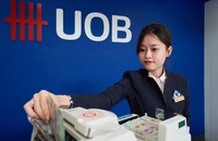Giá đôla Mỹ nơi chao đảo, nơi bình chân, vì sao?