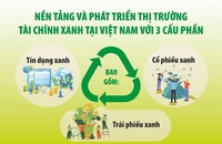 Hút vốn xanh để mở đường cho doanh nghiệp Việt phát triển bền vững