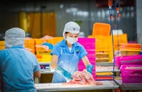 Tín dụng xanh, đòn bẩy cho ngành thủy sản xanh và hiện đại