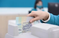 Bí mật đằng sau sự tăng trưởng ‘nóng’ của tín dụng bất động sản TP.HCM