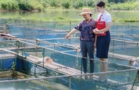 Tín dụng xanh: Động lực phát triển kinh tế xanh Việt Nam