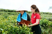Tháo gỡ rào cản, mở lối cho tín dụng xanh phát triển