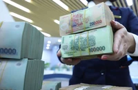 Ngân hàng Nhà nước Khu vực 2 yêu cầu tạm dừng cho vay đặt cọc bất động sản