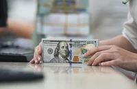 Thủ phạm khiến giá đôla Mỹ 'chợ đen' leo thang?