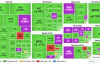VN-Index bật tăng hơn 50 điểm sau phiên giảm kỷ lục