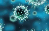 TP.HCM có chỉ đạo khẩn ngăn chặn cúm H5N1