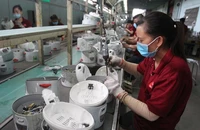 Đề xuất tăng lương tối thiểu vùng 11% năm 2024