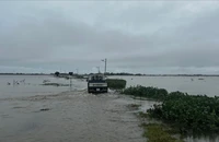 Quảng Trị mưa lớn, học sinh nhiều trường phải nghỉ học
