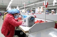 Nhiều ý kiến về đóng bảo hiểm thất nghiệp trên 144 tháng không được bảo lưu 
