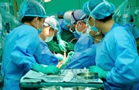 Nhiều cuộc đời hồi sinh nhờ được ghép tạng từ người chết não