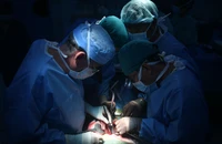 Lần đầu Bệnh viện Nhi đồng 2 thực hiện 3 ca ghép gan trong 1 tuần