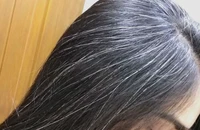 Thực hư đậu đen, hà thủ ô giúp tóc bạc sớm đen trở lại