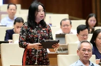 Đại biểu Quốc hội: 'Thị trường thật giả lẫn lộn, chỉ có hàng giả là thật'