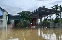 Mưa suốt đêm, nhiều khu vực ở Đà Nẵng ngập sâu