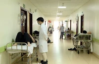 TP.HCM: Gần 70 người nghi ngộ độc sau ăn bánh mì ở phường Phú Mỹ