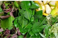 Xông lá, không phải cứ bệnh là xông