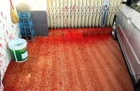 Nhà của phóng viên báo Người Lao Động bị tạt sơn đỏ