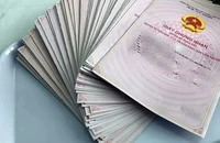 Bình Thuận: Thanh tra chuyển 11 vụ cho công an xử lý