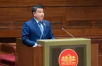 Có tình trạng ‘chạy theo thành tích’ để đạt chuẩn nông thôn mới