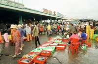 Cảng cá Phan Thiết nhộn nhịp khi các tàu cập bến, đưa hải sản lên bờ.