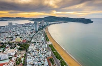 Bình Định lập kế hoạch phát triển hệ thống cây xanh đô thị