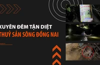 VIDEO điều tra: Đổ thuốc trừ sâu xuống sông Đồng Nai bắt tôm -Kỳ 1- Xuyên đêm tận diệt thủy sản 