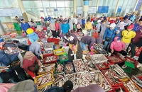 Cảnh mua bán tấp nập ở cảng cá Thọ Quang tại quận Sơn Trà, TP Đà Nẵng.