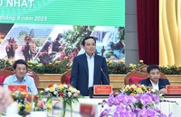 Xây dựng 10 chính sách đặc thù cho vùng Tây Nguyên